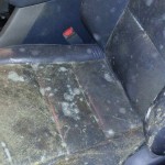 car interior mold